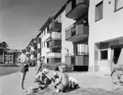 Kolbäcksgränd 24, Bagarmossen