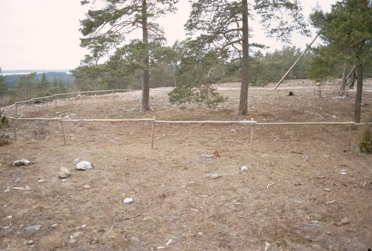 Labyrinten Rösaring.