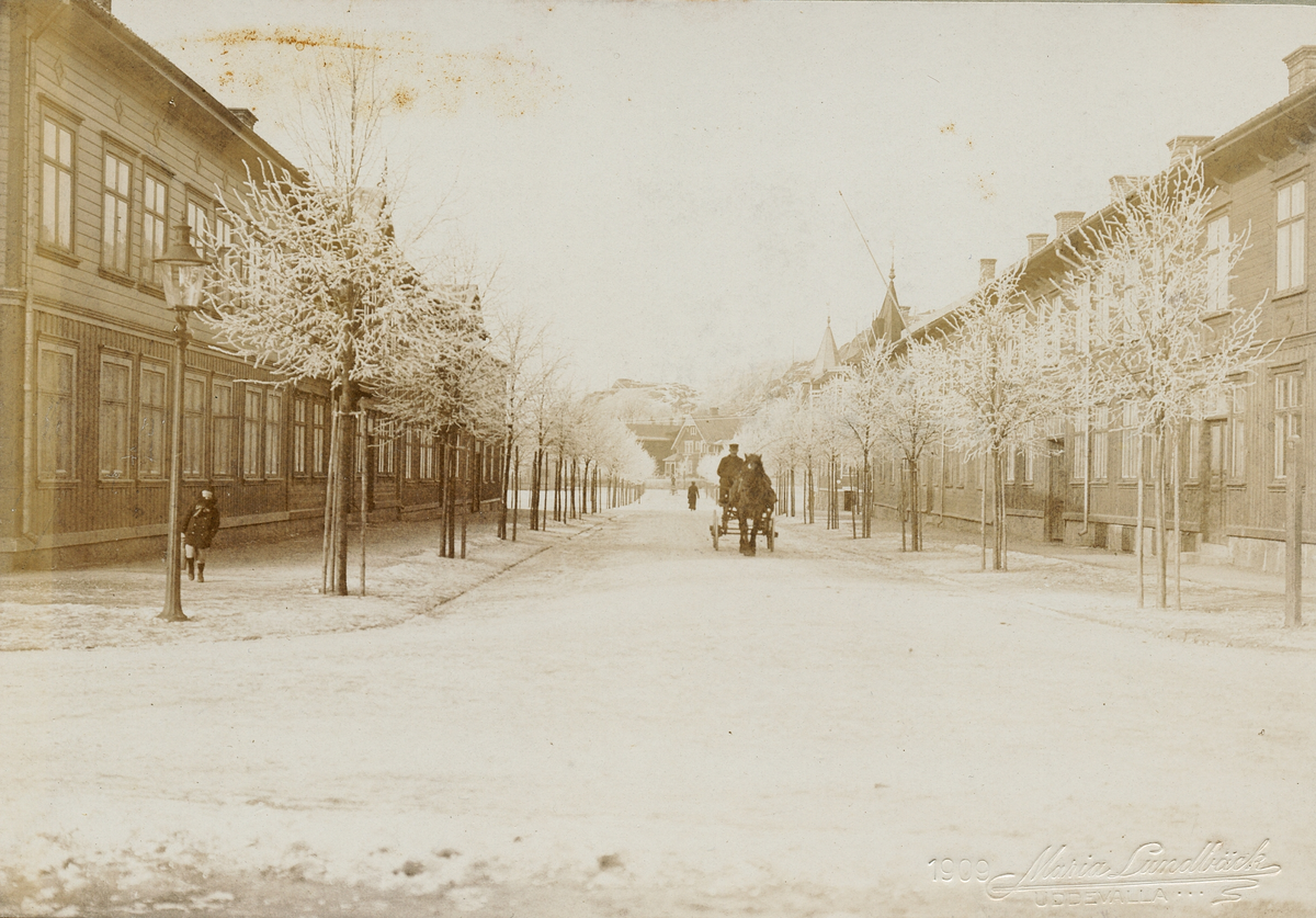 Häst och vagn på en gata i Uddevalla.

Stämplad i högra hörnet: 1909. Maria Lundbäck.