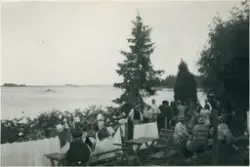 Målar-Lisas fotosamling