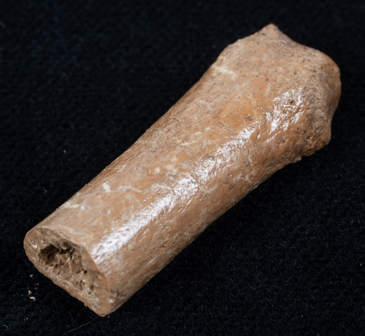 Ett rikt boplatsmaterial från mellanneolitikum. Materialet utgörs av:
Avslag och spånfragment, 202 st
Avslagsskrapa, 3 st
Dolkfragmeent, 1 st
Dubbelskrapa, 1 st
Keramik, mynning, dekorerad. 17 st
Keramik, buk dekorerad, 25 st
Keramik, buk, 27 st
Knacksten, 3 st
Knackstensfragment, 1 st
Kärna, 12 st
Malstensfragment, 1 st
Mikrospån, 1 st
Spånkärna, fragment, 8 st
Spånkärna, cylindrisk, 15 st
Spånpilspets, 7 st
Spånskrapor, 22 st
Sticklar, 4 st
Yxfragment bergart, 3 st
Yxfragment flinta, 9 st.
Slipsten, stor, 1 st

Benmaterial:
Fisk: tonfisk, torsk, lyrtorsk, gråsej, vitling, långa
Havsdäggdjur: Vitnosdelfin, tumlare, vikare, knubbsäl, gråsäl, grönlandssäl
Landvilt: älg, kronhjort, brunbjörn, bäver, hund/varg, vildsvin/tamgris
Tamdjur: nötkreatur, hund/varg, vildsvin/tamgris

Övrigt:
Mollusker, 2 askar
Kolprov, 1 ask
