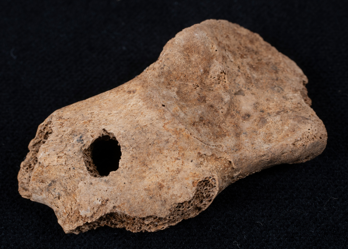 Ett rikt boplatsmaterial från mellanneolitikum. Materialet utgörs av:
Avslag och spånfragment, 202 st
Avslagsskrapa, 3 st
Dolkfragmeent, 1 st
Dubbelskrapa, 1 st
Keramik, mynning, dekorerad. 17 st
Keramik, buk dekorerad, 25 st
Keramik, buk, 27 st
Knacksten, 3 st
Knackstensfragment, 1 st
Kärna, 12 st
Malstensfragment, 1 st
Mikrospån, 1 st
Spånkärna, fragment, 8 st
Spånkärna, cylindrisk, 15 st
Spånpilspets, 7 st
Spånskrapor, 22 st
Sticklar, 4 st
Yxfragment bergart, 3 st
Yxfragment flinta, 9 st.
Slipsten, stor, 1 st

Benmaterial:
Fisk: tonfisk, torsk, lyrtorsk, gråsej, vitling, långa
Havsdäggdjur: Vitnosdelfin, tumlare, vikare, knubbsäl, gråsäl, grönlandssäl
Landvilt: älg, kronhjort, brunbjörn, bäver, hund/varg, vildsvin/tamgris
Tamdjur: nötkreatur, hund/varg, vildsvin/tamgris

Övrigt:
Mollusker, 2 askar
Kolprov, 1 ask
