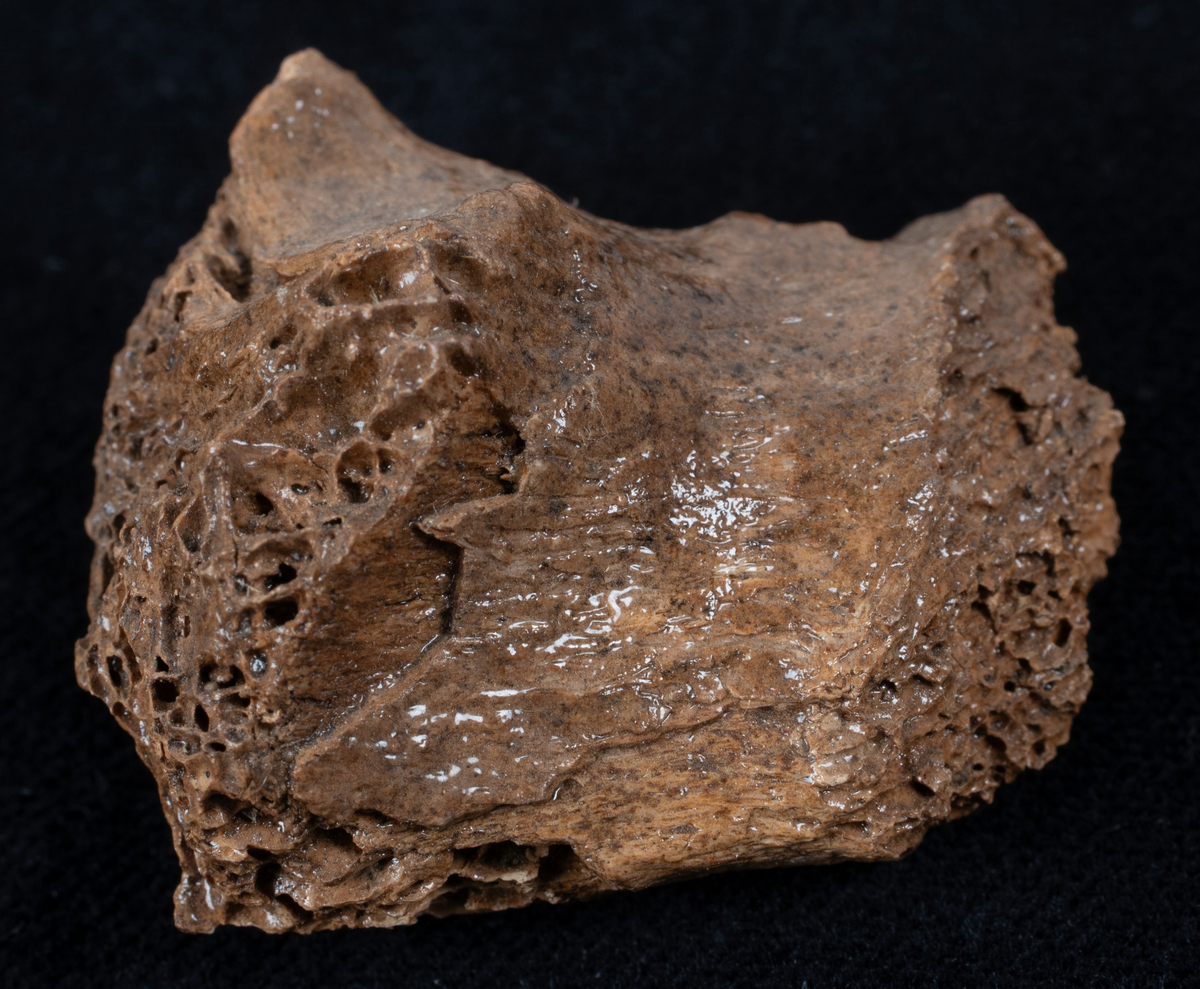 Ett rikt boplatsmaterial från mellanneolitikum. Materialet utgörs av:
Avslag och spånfragment, 202 st
Avslagsskrapa, 3 st
Dolkfragmeent, 1 st
Dubbelskrapa, 1 st
Keramik, mynning, dekorerad. 17 st
Keramik, buk dekorerad, 25 st
Keramik, buk, 27 st
Knacksten, 3 st
Knackstensfragment, 1 st
Kärna, 12 st
Malstensfragment, 1 st
Mikrospån, 1 st
Spånkärna, fragment, 8 st
Spånkärna, cylindrisk, 15 st
Spånpilspets, 7 st
Spånskrapor, 22 st
Sticklar, 4 st
Yxfragment bergart, 3 st
Yxfragment flinta, 9 st.
Slipsten, stor, 1 st

Benmaterial:
Fisk: tonfisk, torsk, lyrtorsk, gråsej, vitling, långa
Havsdäggdjur: Vitnosdelfin, tumlare, vikare, knubbsäl, gråsäl, grönlandssäl
Landvilt: älg, kronhjort, brunbjörn, bäver, hund/varg, vildsvin/tamgris
Tamdjur: nötkreatur, hund/varg, vildsvin/tamgris

Övrigt:
Mollusker, 2 askar
Kolprov, 1 ask