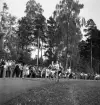 Idrottens dag på Värendsvallen. Sprinterloppet.