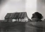 Masse måste ha varit fascinerad av Häglunds lilla gård, han tog hela 8 bilder därifrån. Vi ser hur byggnaderna ligger på en liten kulle, t v skymtar fribaptistkapellet byggt 1903. Vi ser ladugården med ladvägg i bulteknik och fähus i sten, här är gavelspetsen av trä. Brygghuset skymtar t h om ladugården och manbyggnaden bakom oxeln. Det som ser ut som en ved- eller stenhög är dasset med vedbod mm, se Bild 1025, 1026. Rågåkern går ända fram till den lila inkörsvägen, där hjulsdpår avtecknar sig i gräset. En vacker men säkert fattig boplats.

Att denna fastighet gick från Allmänning till att hamna under Mattsarve kan bero på att Per Häglund var dräng på Mattsarve och hans fru Helena Maria Nilsdotter Alström, som var född här, var piga hos Jonas Jakobsson Mattsarve när de träffades och bröllopet hölls vid Mattsarve, se Bild 991.