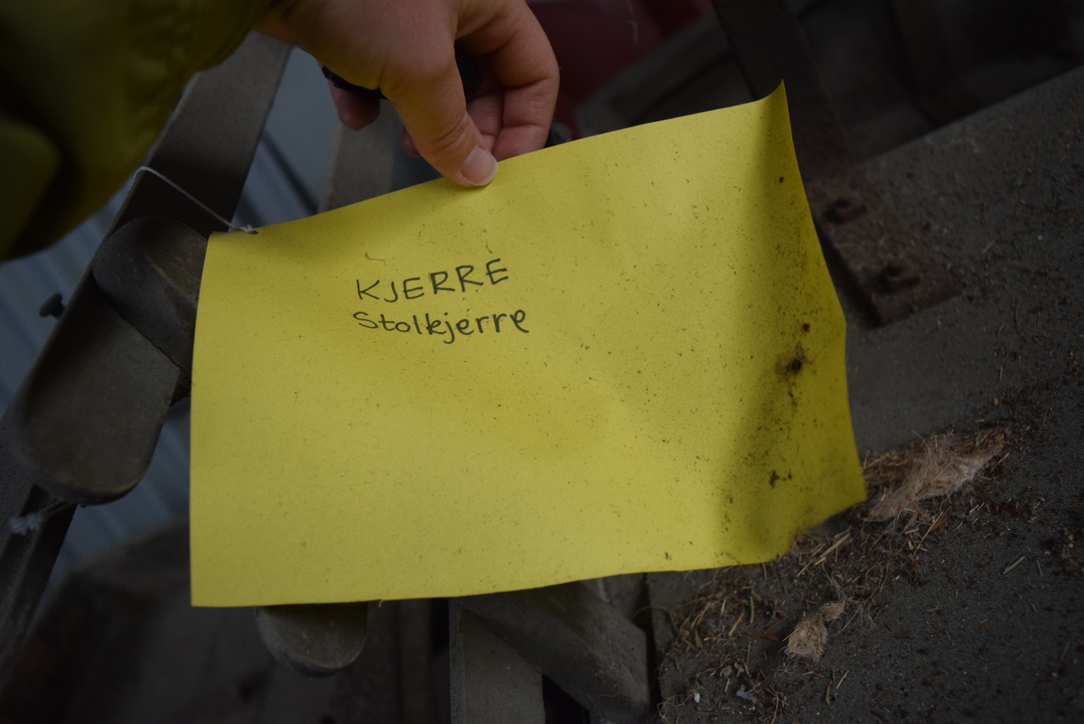 Kjerre med to hjul på aksling. Hjul av tre med 14(?) eiker og jernskoning. Benk med polstret rygg. Krakk foran. Polstert sete bak benken med lav metallkant bak og på sidene. Trebrett for skjerming mot stein og støv fremme.