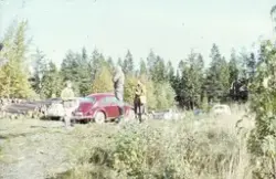 Skogsutflykt, 1960-tal
