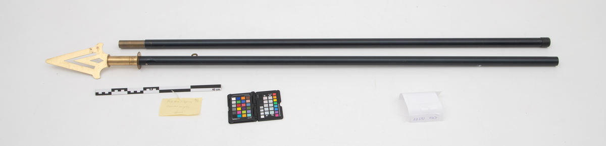 Svart fanestang i metall med toppstykke, platespyd. 

(Rektangulær faneduk i blått med gule påsydde snorer på hver side og frynser langs nederste kant. Bardun- og styresnorer og possement i gult.)