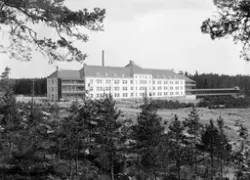Kolmårdssanatoriet