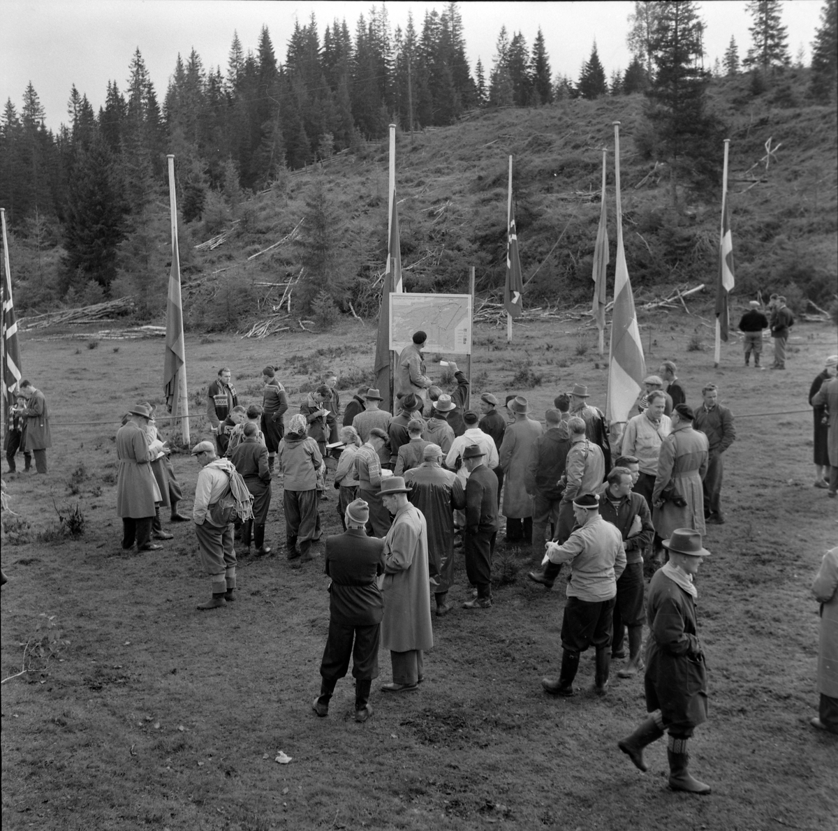 Nordisk mesterskap i orientering 1957