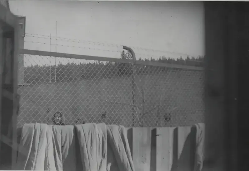 Svart/hvitt fotografi. Lengst fram i bilde er det et tregjerdet hvor det henger noe stoff over. Bak er det et gjerdet med piggtråd øverst. Bak gjerdet ser man så vidt en kvinne som titter mot kamera.