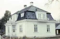 Tangenvillaen, Neby, Tynset