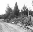 Avesta, Knutsbo, Grytnäs 1929. En vid vägen Gisselbo, Knutsbo 1,90 m hög.