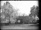 Hus med trädgård, Brovakt Pettersson, Kolbäck
Ur Gustaf Åhmans samling.