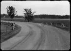 Dikeskörning vid Munktorps station. Landsfiskalen i Kolbäcks distrikt (Gråberg).
Ur Gustaf Åhmans samling.