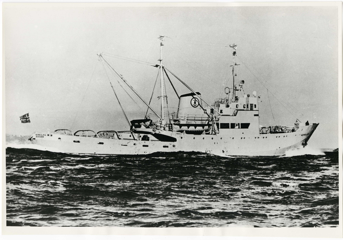 M/S HERKULES (bygget i 1960).