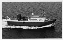 M/S LADY HARRISON (bygget i 1984).