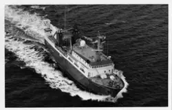 M/S LADY HARRISON (bygget i 1984).