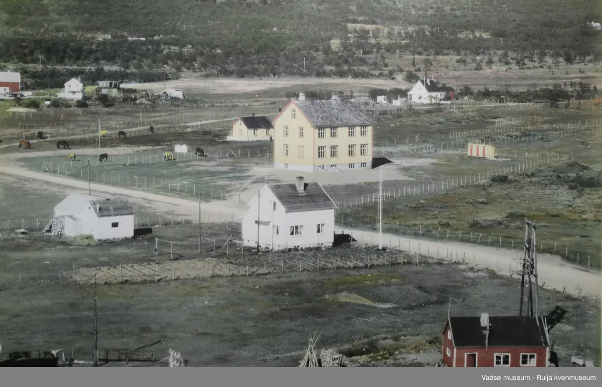 Flyfoto av Vestre Jakobselv skole, ant. 1963. Utedoene bak; for lærer, gutter og jenter. Med hester som gikk løs i bygda