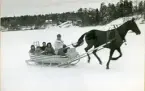 Löjtnant Malmquist tyglar Rustibus på norra Brunnsvikens is med familjen Urwitz i släden. det blev en riktig julgalopp.