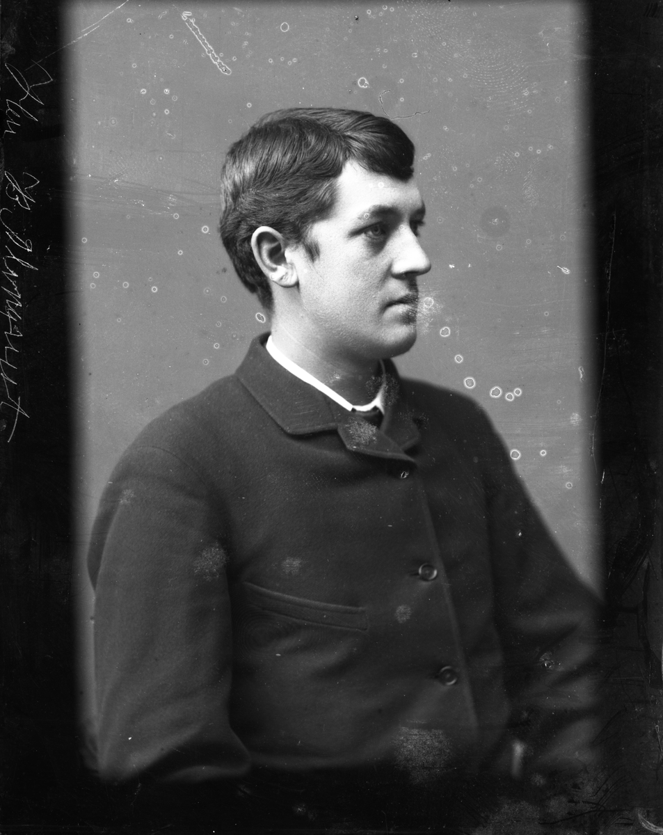 Almquist, Bror (1864 - 1940)
