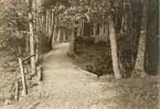 Parti från Strandpromenaden, Gustafsberg, Uddevalla.

Stämplad i vänstra hörnet: Maria Lundbäck Uddevalla. 1911.