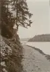 Parti av strandpromenaden Gustafsberg.

Stämplad i vänstra hörnet: Maria Lundbäck Uddevalla. 1910.