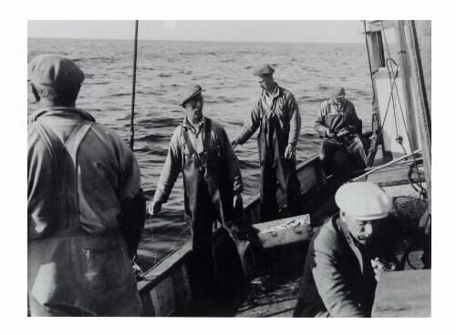 Fiske från båt. Bild 1 (A544): Tonfisk halas ombord. Bild 2 (A542a): Backorna dras. Två män vid relingen, en kastar fisken i trälåda. Bild 3 (A543): Backfiske. Männen står med var sin lina vid relingen. Okänd fotograf, början av 1950-talet.