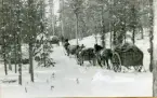 Pionjärplutonen gick rakt igenom terrängen, tack vare att den var hästanspänd.