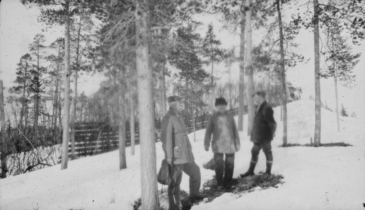 Tre menn blant trær, på en snødekt bakke. Stort gjerde i bakgrunnen.