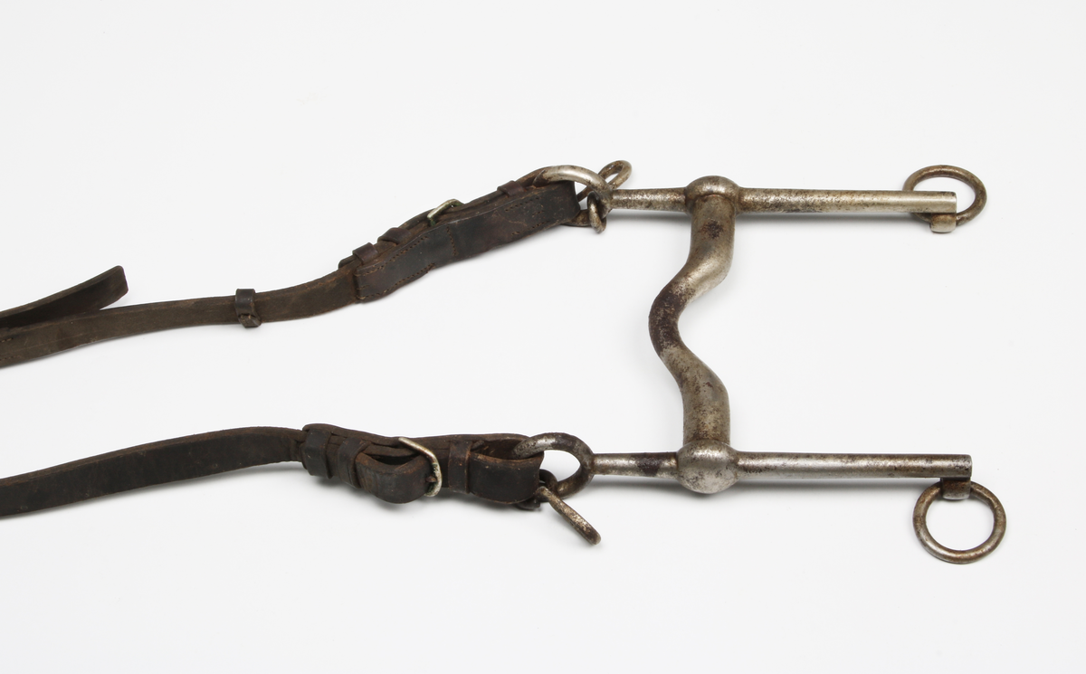 Kraftigt stångbett med böj. Parerstång med tömringar och remögla på vardera sida. Krokar för kindkedja. Läderrem med tre metallspännen.