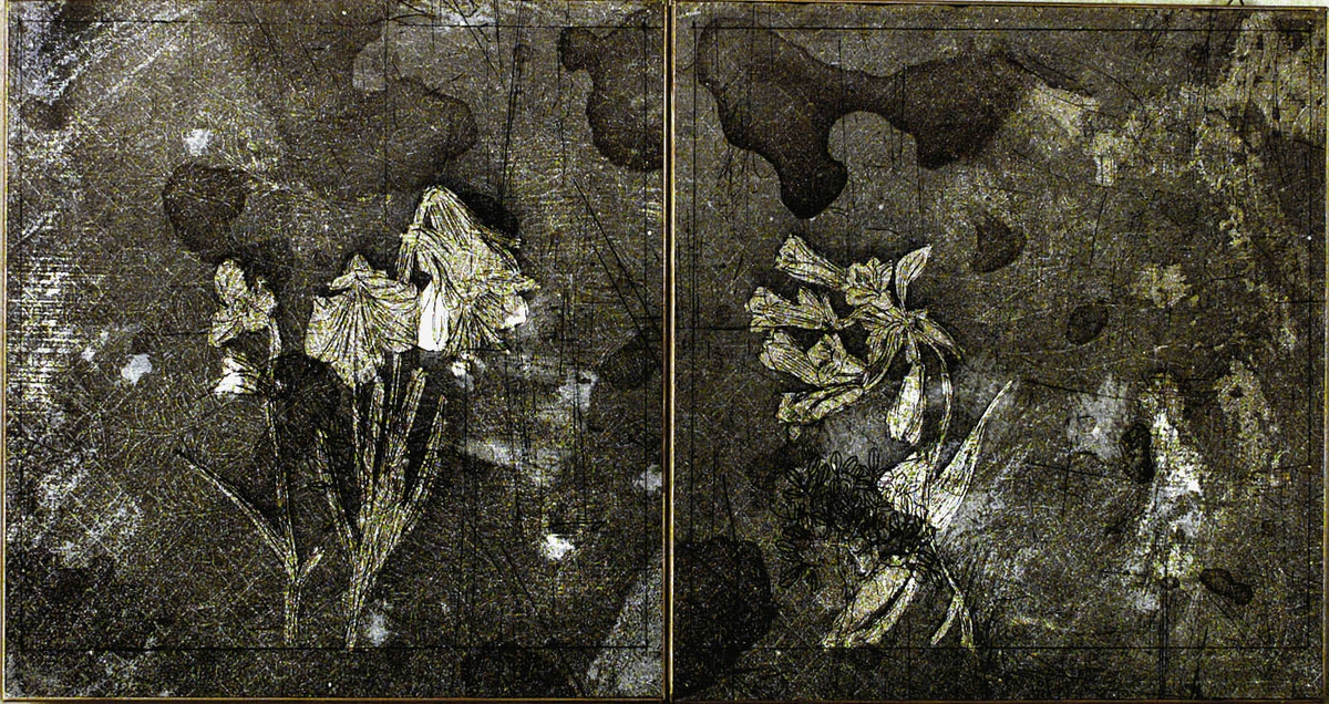 Pisanellos kvinna [Grafik]