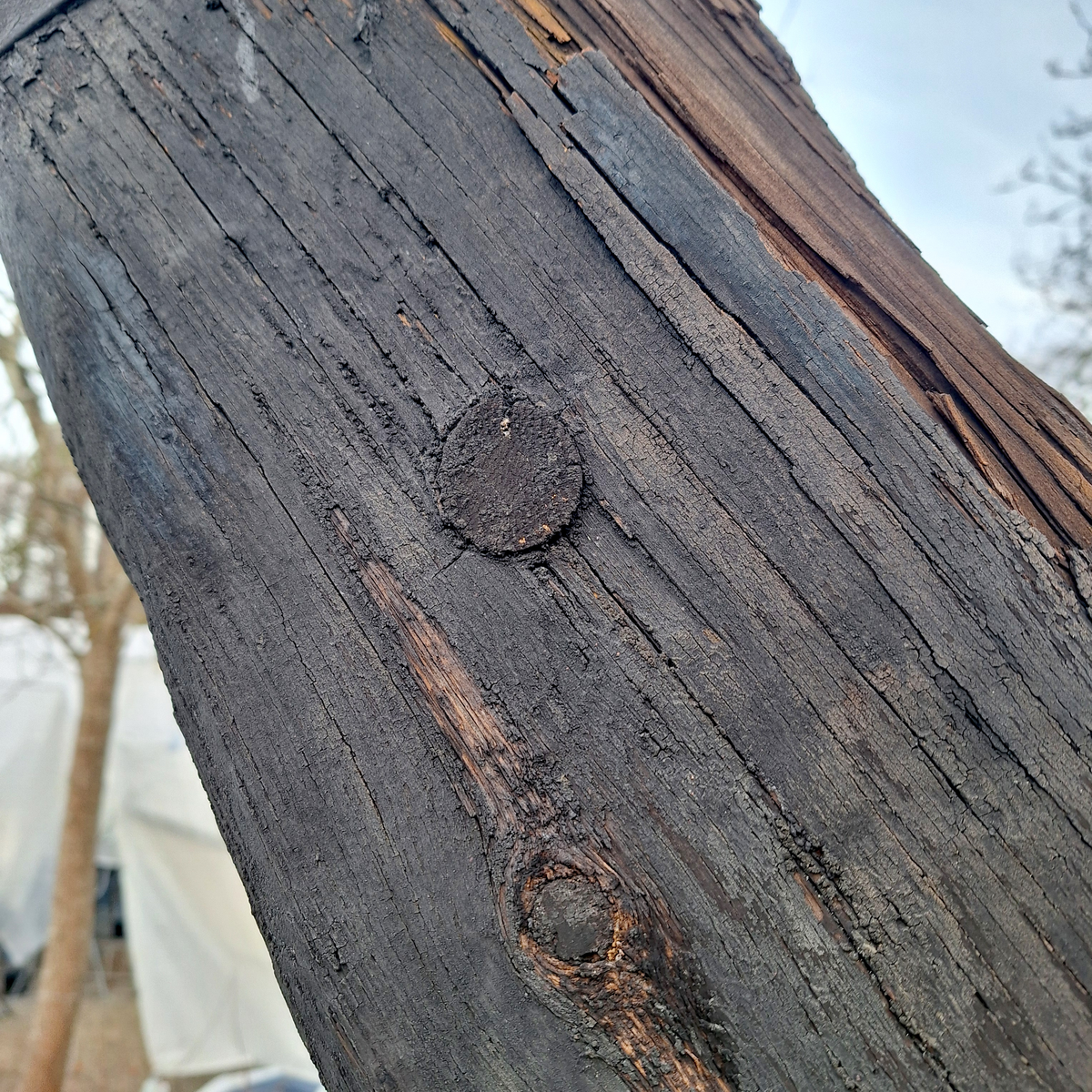 Stockankare. Trästock med fyra järnband samt en skyddskåpa i metall över ändträet på övre delen. Stockens två delar hålls ihop med fyra kilade trädymlingar. Stocken är på vissa partier mycket sliten. Schackel i röringen.