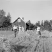 Familjen Kindgren möter fotografen på det nyslagna gärdet vid hemmet Ängsäter i Gammalkil. Denna dag hade Göte, Ragnhild och barnen besök av Ragnhilds föräldrar, Karl August och Ellen Dorotea Petersson. Foto 1960.