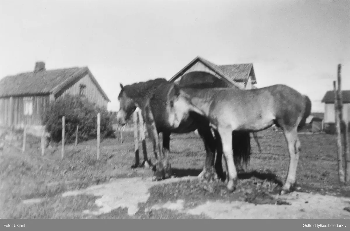 Huset til Olaus Eriksen Brunsb, Brunsby i Varteigy. Han skrev mange dikt om Varteig. Huset ble kalt Lovisestua. Hestene hørte til på prestegården.