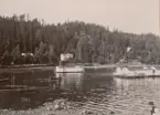 Parti av Gustafsberg.

Stämplad i vänstra hörnet: 1901.