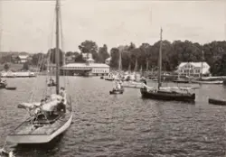 Lustbåtar i Gustafsbergsviken 1905