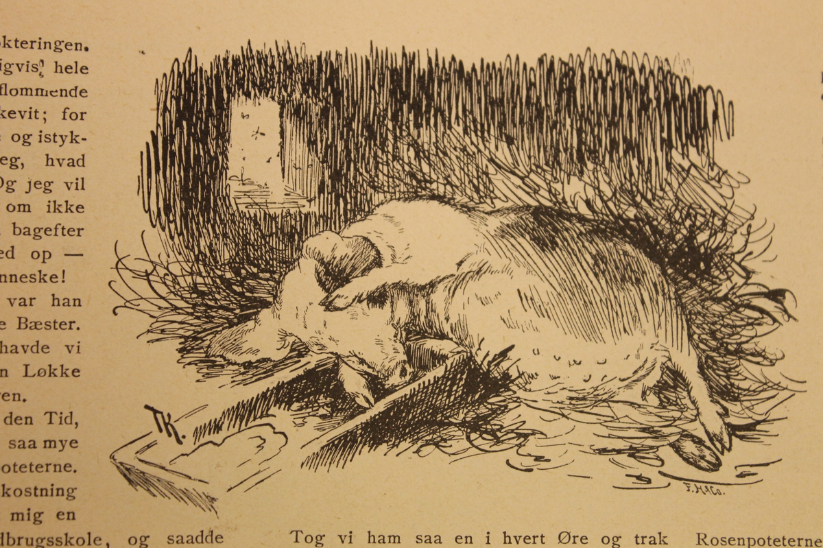 Julehefte fra 1887 med illustrasjoner av Th. Kittelsen til Per Sivles tekst: "Den trettende - En smule Griselitteratur, med Tegninger af N.N.."