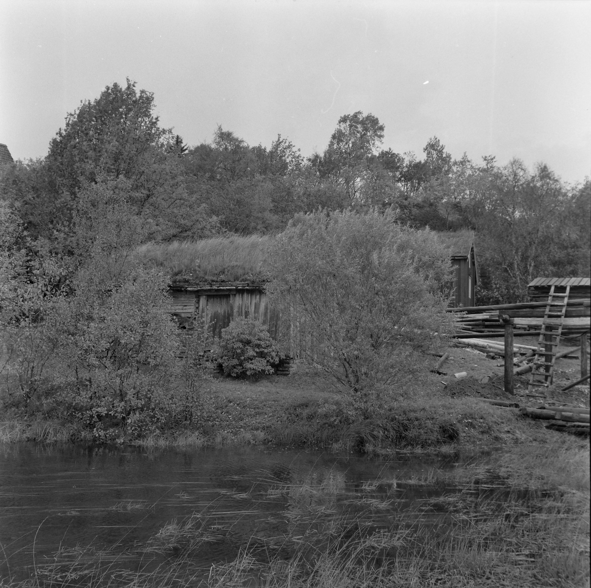 Stornauset fra Austre Fløan under oppføring på Sverresborg Trøndelag folkemuseum