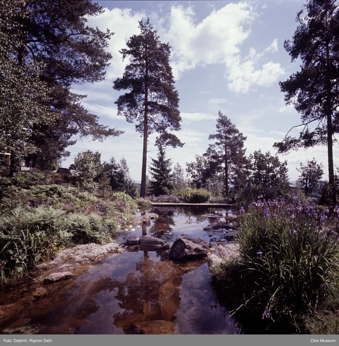 Villa Ringiåsen, hage, dam