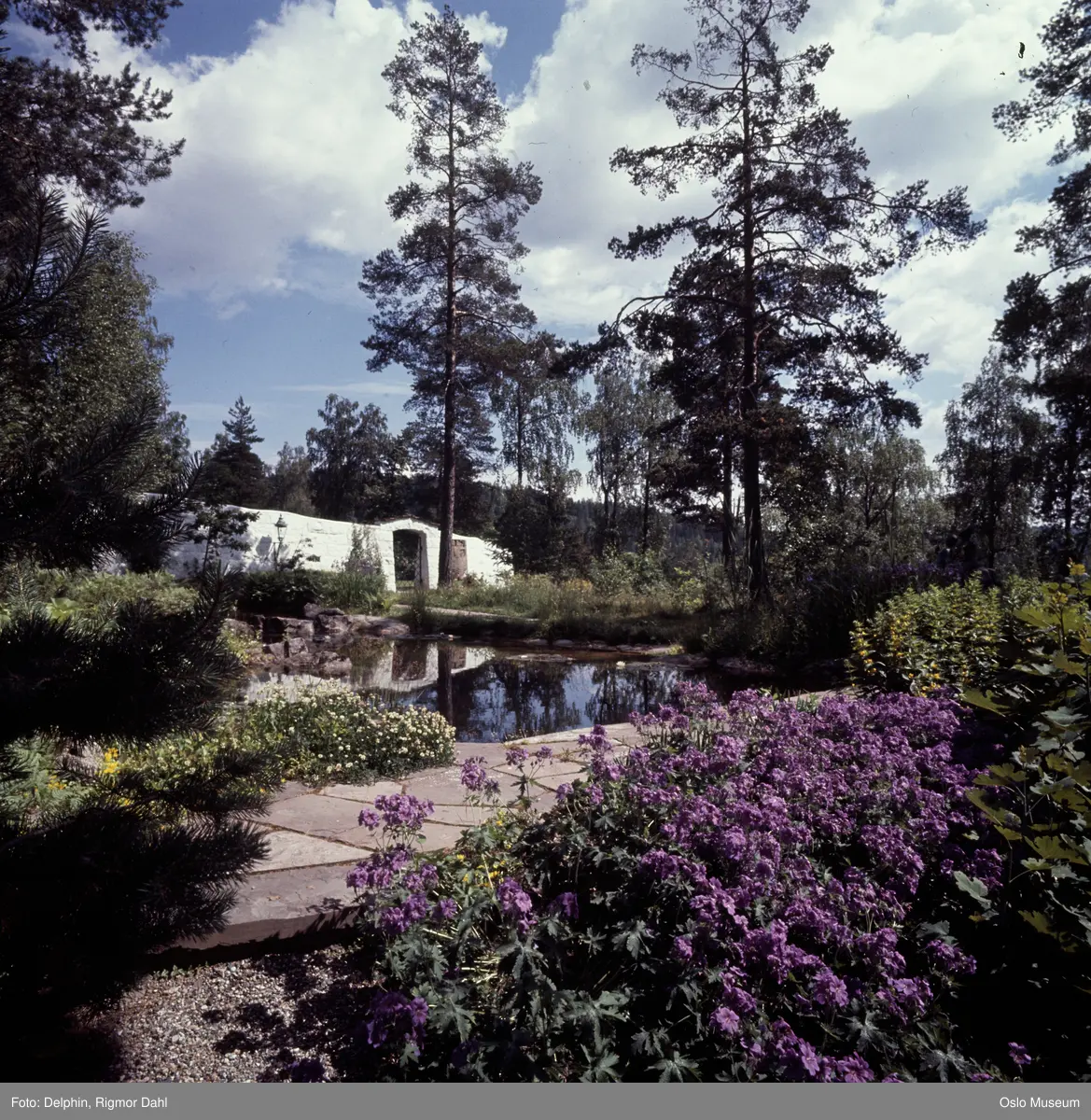 Villa Ringiåsen, hage, dam