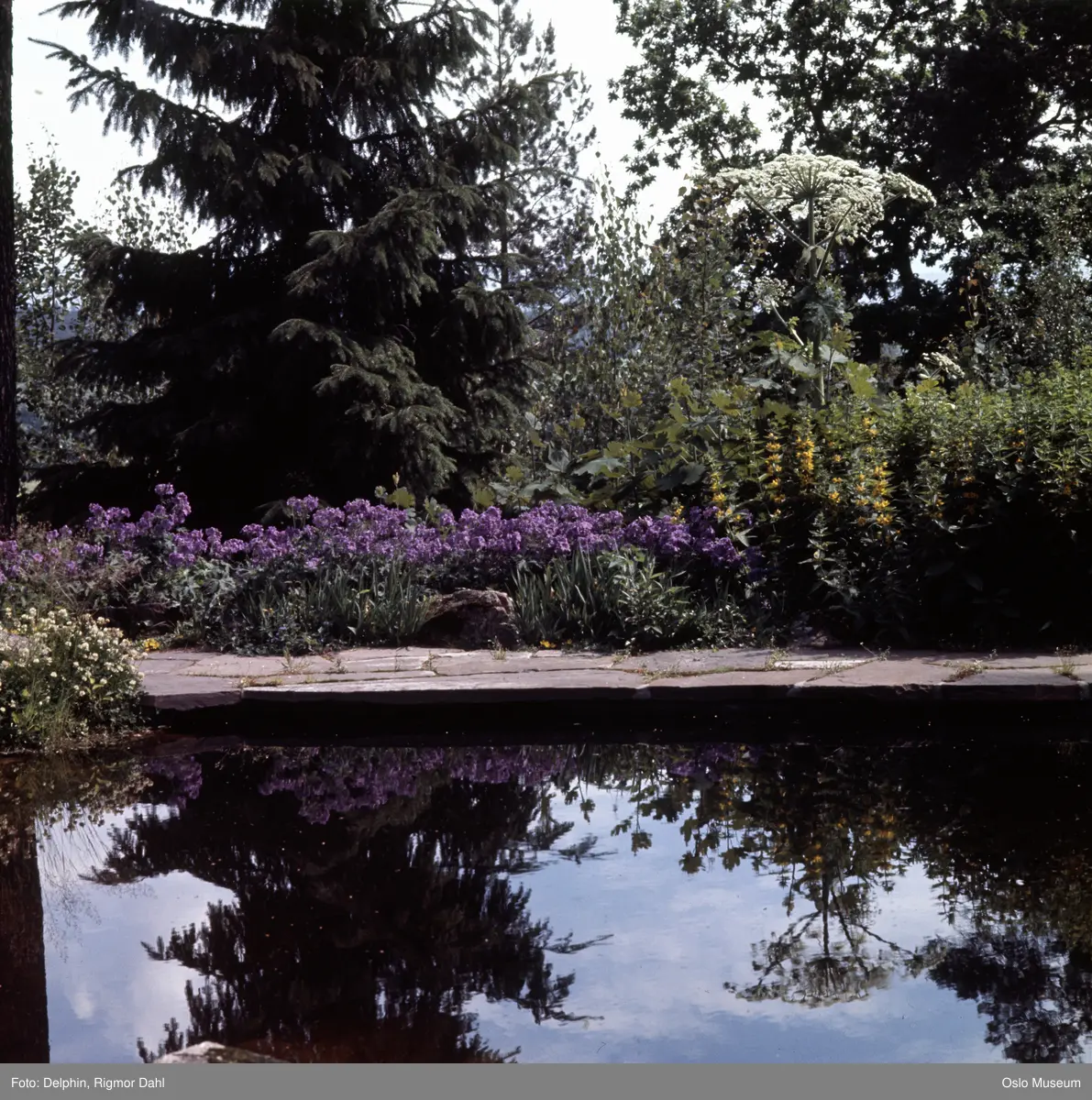 Villa Ringiåsen, hage, dam