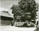 Västerås, Kyrkbacken, kv. Gere.
Innergård av Skolgatan 2. C:a 1950.