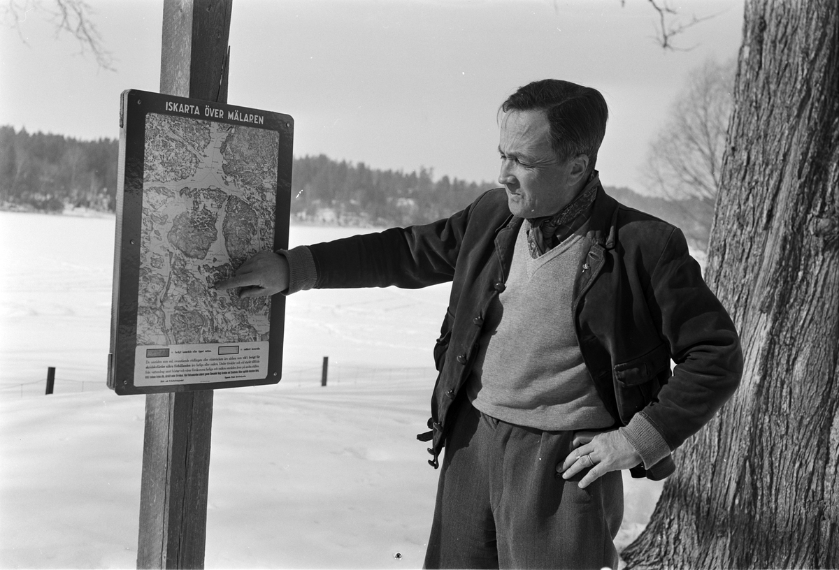 Intendent Aron Bergmark vid iskarta över Ekoln, Uppland 1956