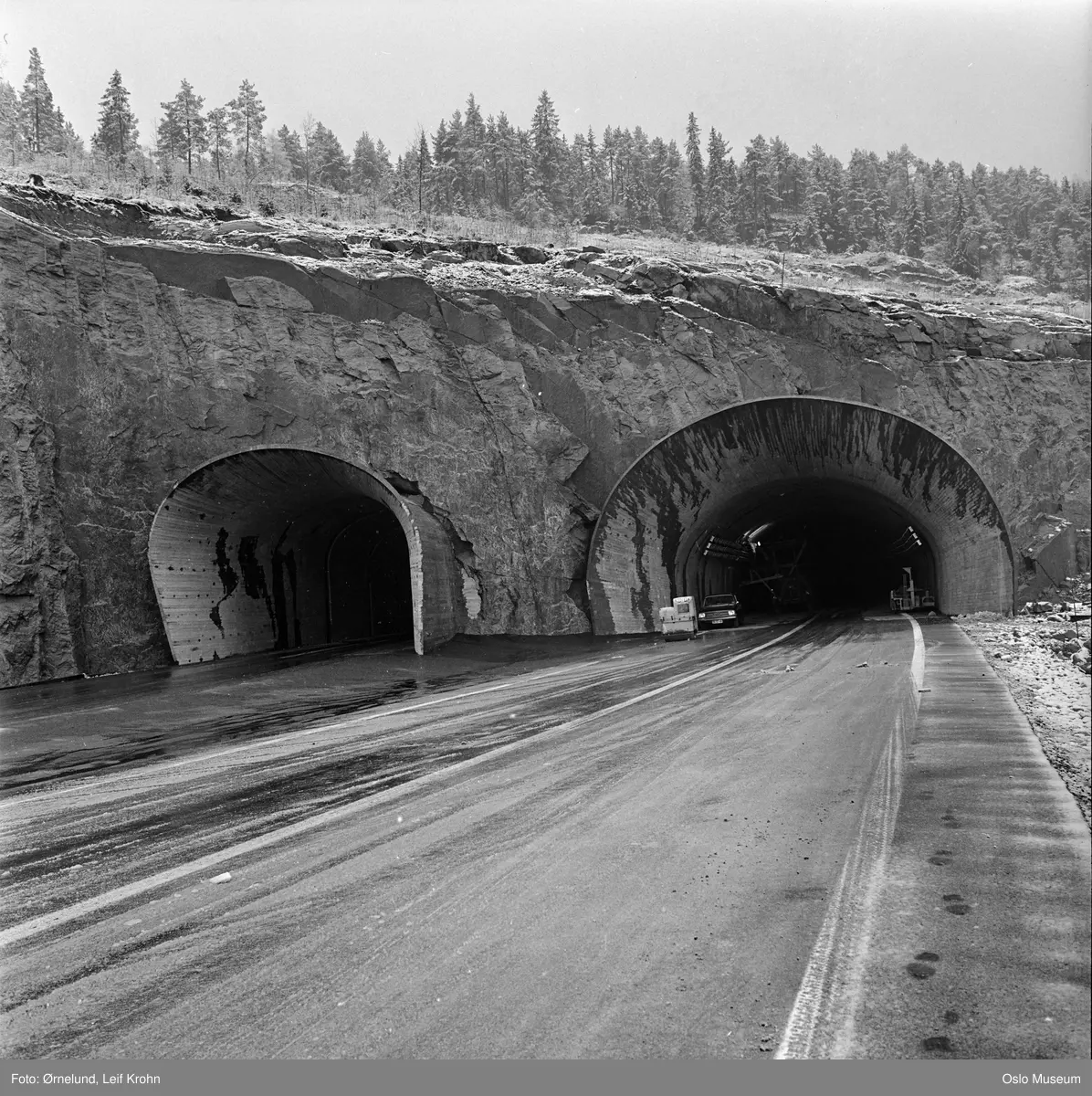 tunneler, tunnelåpninger, vei, skog