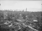 Anundsjö socken. 
Klocken: Östra brännans västra del å en kulle c:a 50 m. från dalen botten. (1904 års bränna).. Rutsådd tallfrö från Ljusdal 1905. De flesta platserna förstördes genom uppfrysning. Ånyo sådd 1906. Hjälpsådd 1911. Hygget stängt 1906 och 1908. 
Foto: 29 september 1916.
Fotograf: W. Wångström, Ö-vik
Jämför no 24 i 