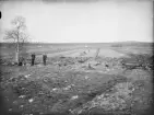 Anundsjö socken. 
Holmsjö: Baggmyren. Nyodling påbörjad 1912, omfattar ca tcd (?), i tegbredd 20 m. Odlingen upplåten åt arrendator och 4 dikestorpare
Foto: oktober 1916.
Fotograf: W. Wångström, Ö-vik
No 29 i 