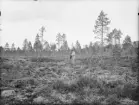 Anundsjö socken?
Foto hösten 1916?