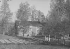 o socken.
Mo: Gamla kontoret, taget från plantskolan.
Foto: oktober 1916.
Fotograf: W. Wångström, Ö-vik