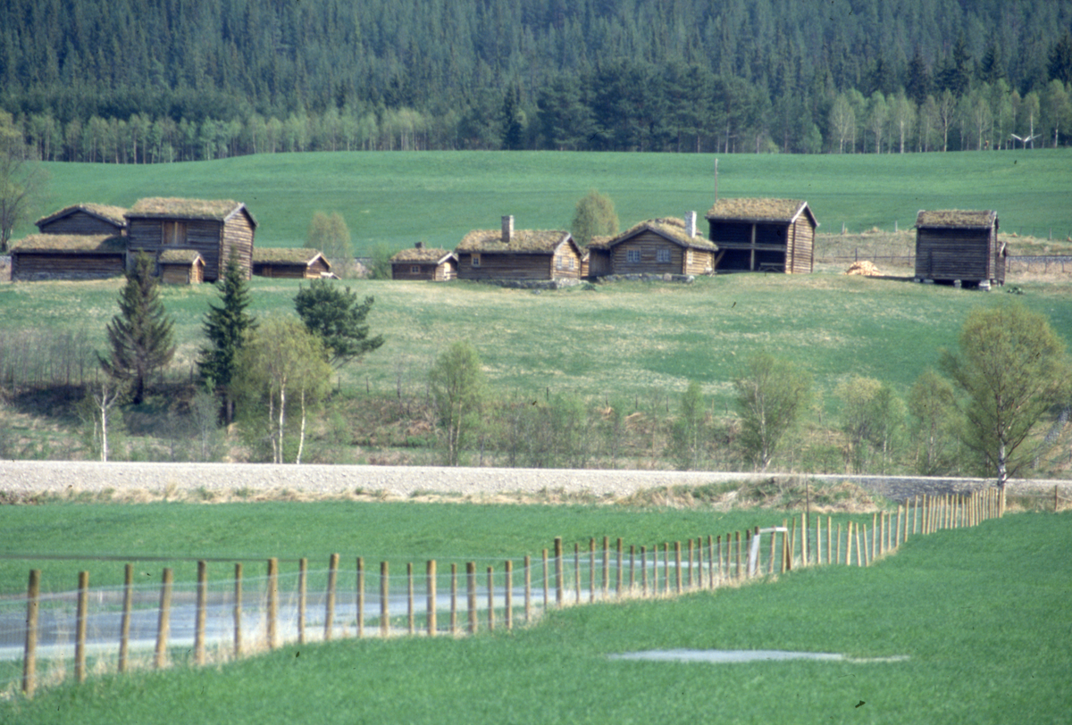 Husantunet
